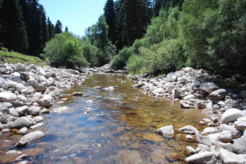aspropotamos