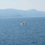 ellada1-e1427491891106-150x150