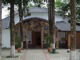 OLYMPUS DIGITAL CAMERA