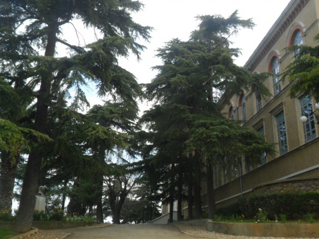 KIPOS THEOLOGIKIS SXOLIS XALKIS